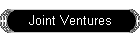 Joint Ventures