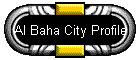 Al Baha City Profile